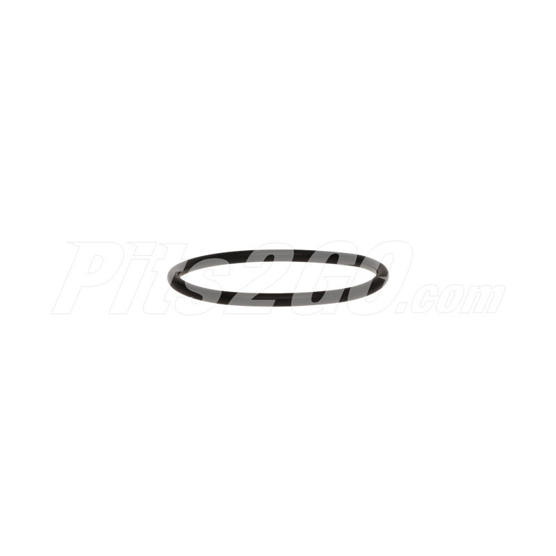 Oring / bomba alta para Camión, Marca Freightliner, compatible con Unimog image number null