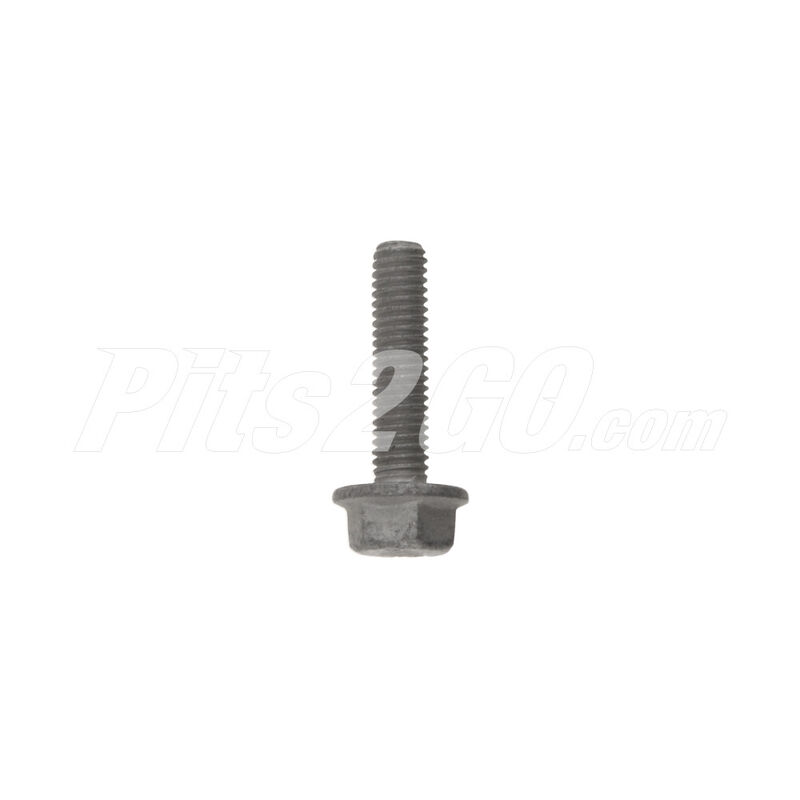 Tornillo fijaci&oacute;n para Buses, Marca Freightliner, compatible con OMC image number null