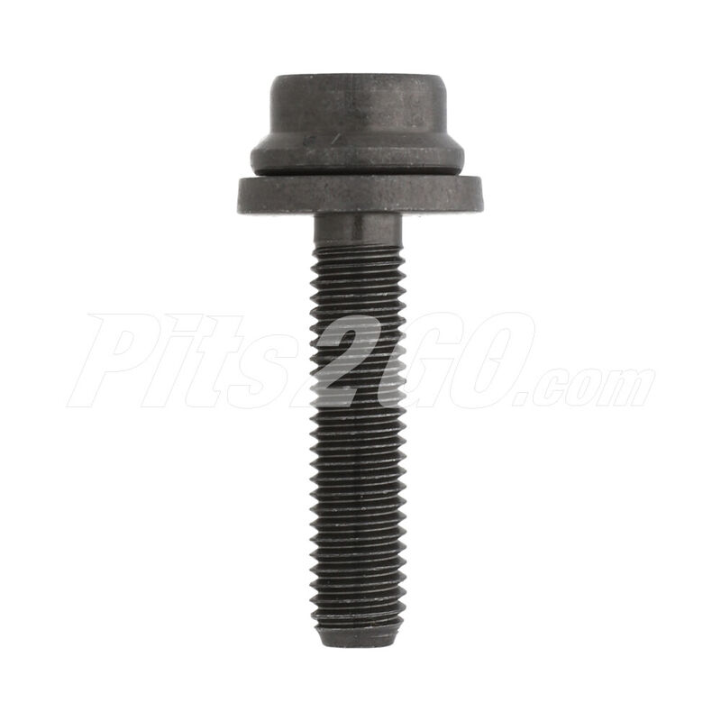 Tornillo p/ multiple de escape para Tractocami&oacute;n, Marca Freightliner, compatible con OM904, OM906 image number null