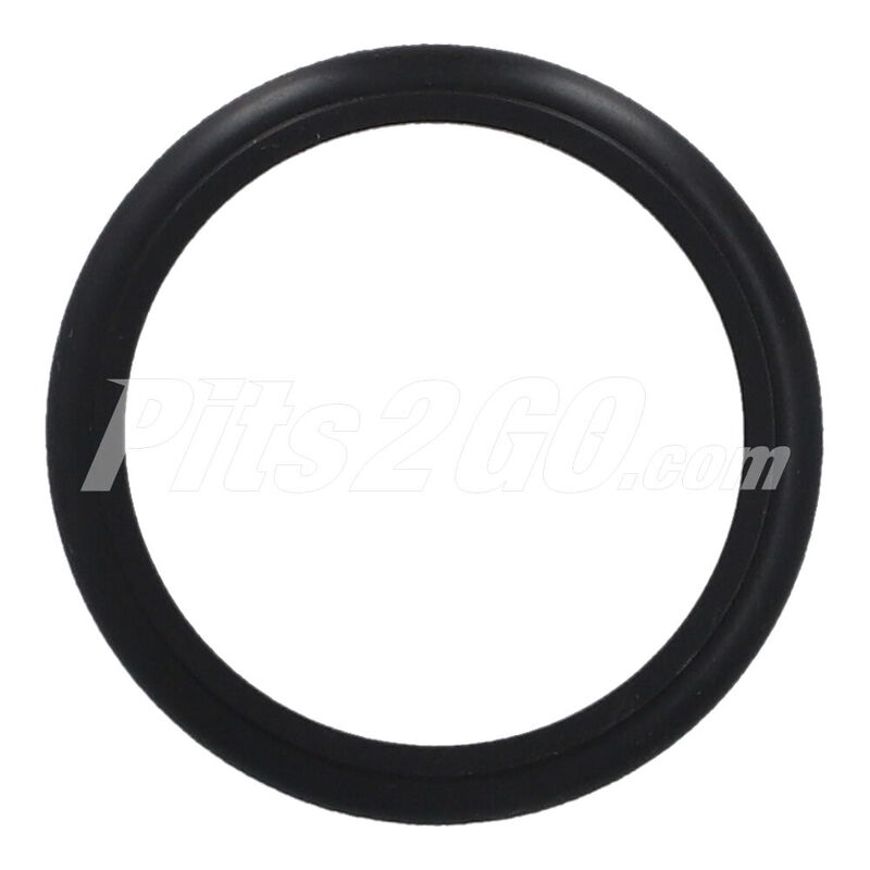 Junta bomba de aceite, para Tractocami&oacute;n, Marca del producto: Detroit Di&eacute;sel, compatible con: Serie 60,N&uacute;mero de parte: DDEA4721870980 image number null