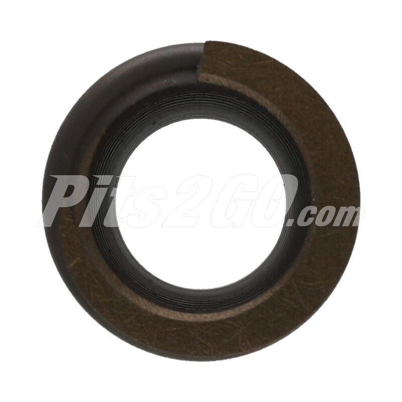 Resorte v&aacute;lvula admisi&oacute;n para Tractocami&oacute;n, Marca Detroit Di&eacute;sel, compatible con Serie 60 image number null