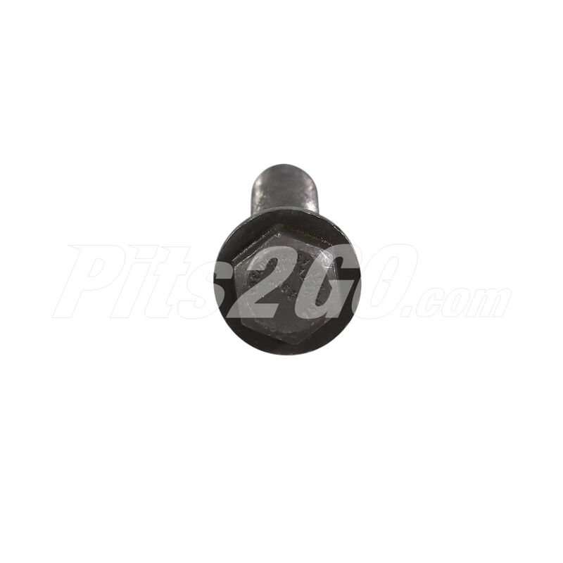 Tornillo para Buses, Marca Freightliner, compatible con OM366 image number null