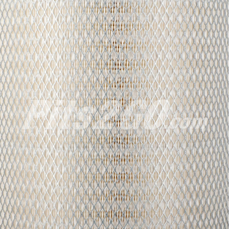Filtro de aire primario para Tractocami&oacute;n, Marca Donaldson, compatible con Gen&eacute;rico image number null