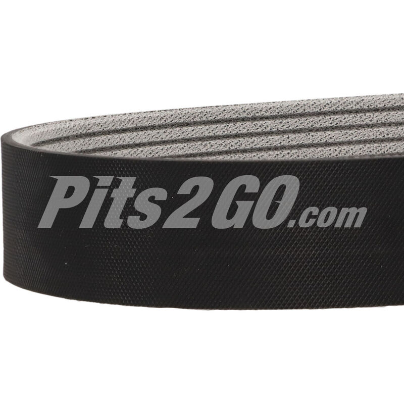 Banda de accesorios 8 canales para Tractocamión, Marca Detroit Diésel, compatible con Cascadia image number null