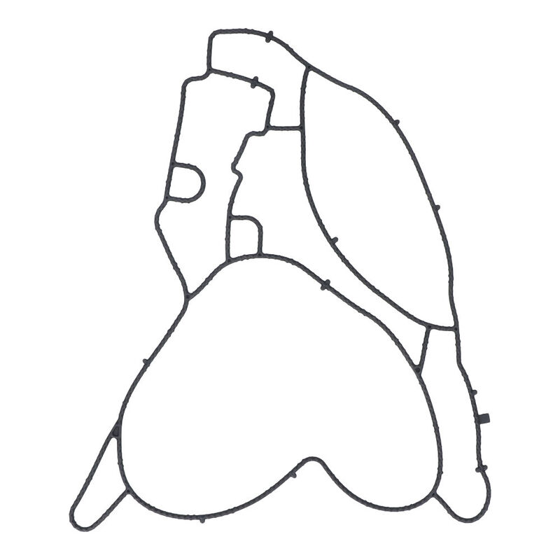 Empaque para Tractocami&oacute;n, Marca Freightliner, compatible con Gen&eacute;rico image number null