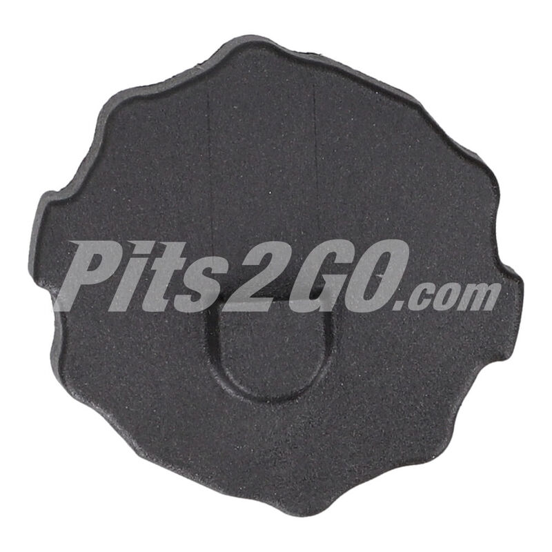 Tapa roscada para Vanes, Marca Mercedes-Benz, compatible con Sprinter image number null