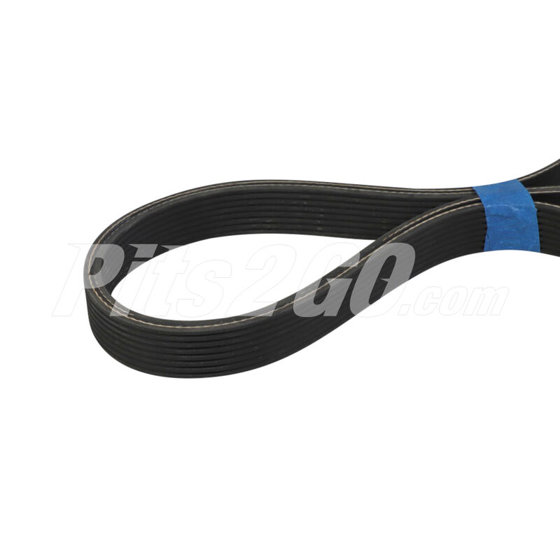 Banda poly para Tractocami&oacute;n, Marca Dayco, compatible con Gen&eacute;rico image number null