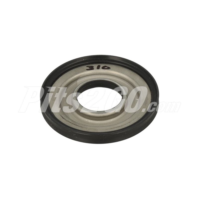 Juego pist&oacute;n para Cami&oacute;n, Marca Eaton-Fuller, compatible con Business Class image number null