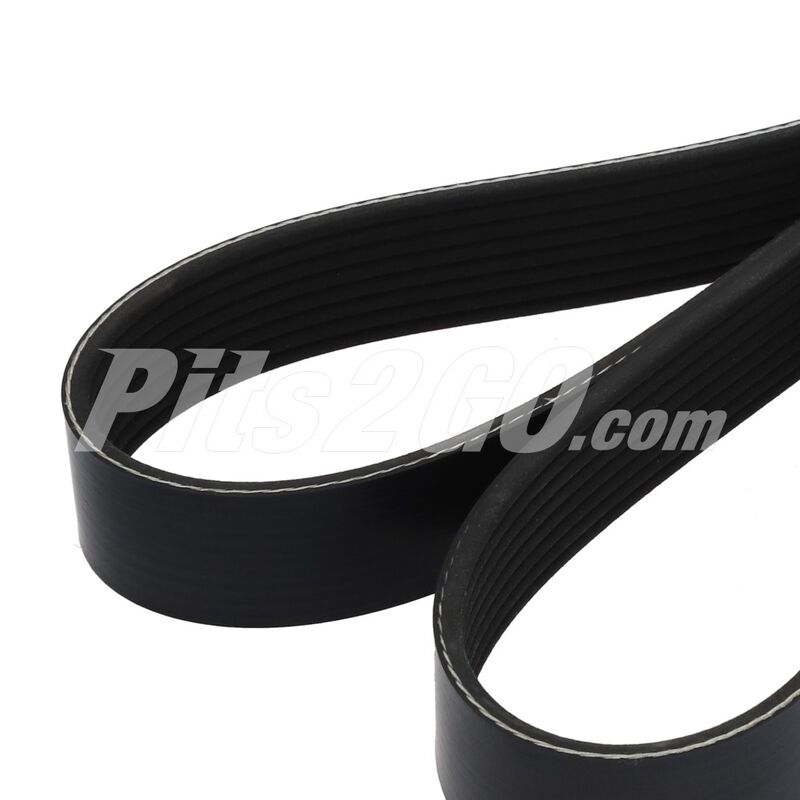 Banda para Tractocami&oacute;n, Marca Dayco, compatible con OM904, OM906 image number null