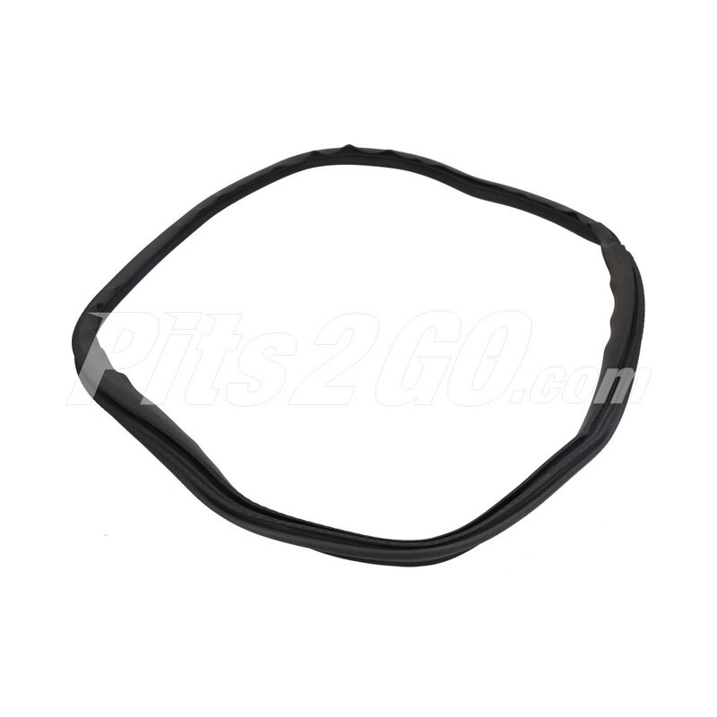 Sello marco portaequipaje para Camión, Marca Freightliner, compatible con Business Class image number null