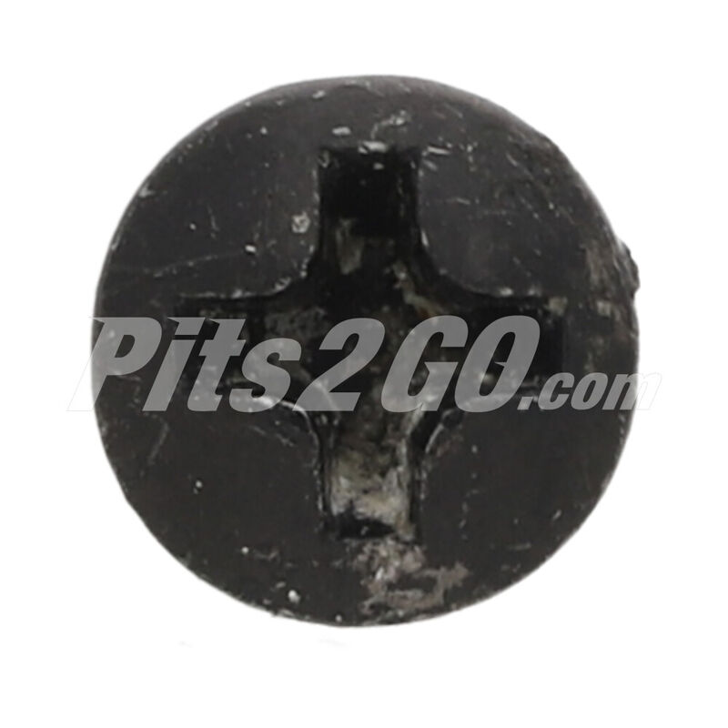 Tornillos de cabeza ovalada para Buses, Marca Marcopolo, compatible con Boxer, MBO image number null