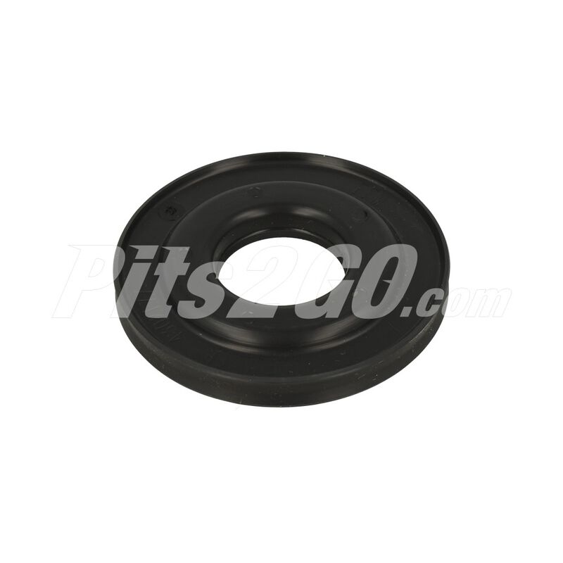 Juego pist&oacute;n para Cami&oacute;n, Marca Eaton-Fuller, compatible con Business Class image number null