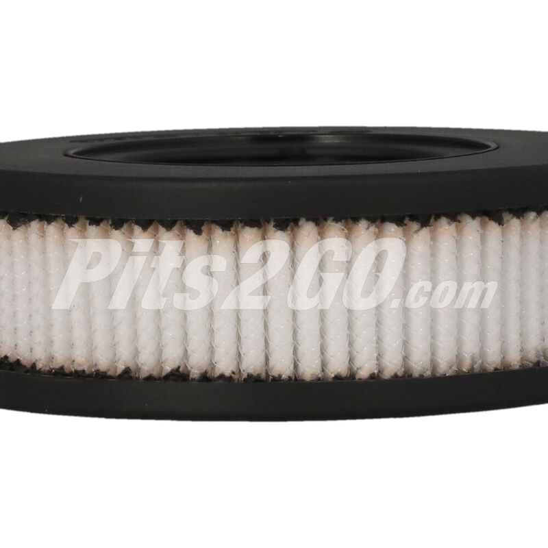 Filtro de aire para Cami&oacute;n, Marca Mitsubishi, compatible con Sterling 360 image number null