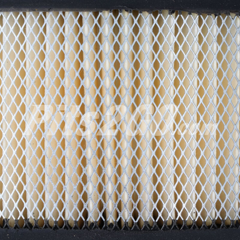 Filtro de aire para Tractocami&oacute;n, Marca Donaldson, compatible con Gen&eacute;rico image number null