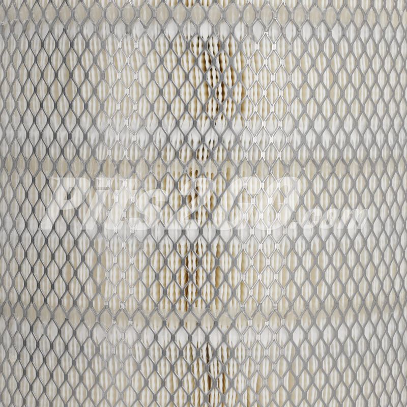 Filtro aire primario, para Tractocami&oacute;n, Marca del producto: Fleetguard, compatible con: FH,N&uacute;mero de parte: AF2610300 image number null