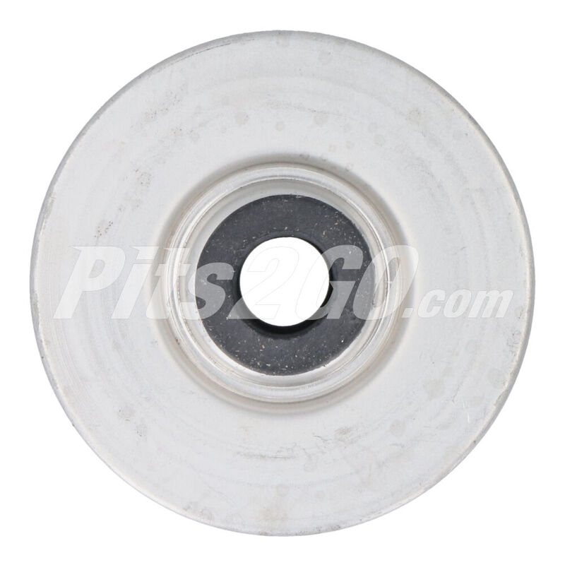 Filtro de combustible, para Tractocami&oacute;n, Marca del producto: Donaldson, compatible con: Gen&eacute;rico,n&uacute;mero de parte:,DNP550120 image number null