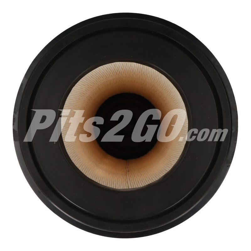 Filtro de aire primario para Cami&oacute;n, Marca Donaldson, compatible con FL217 image number null