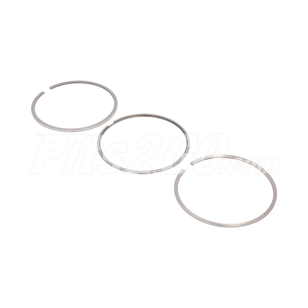 Juego de anillos para Buses, Marca Freightliner, compatible con Autobús Articulado image number 2