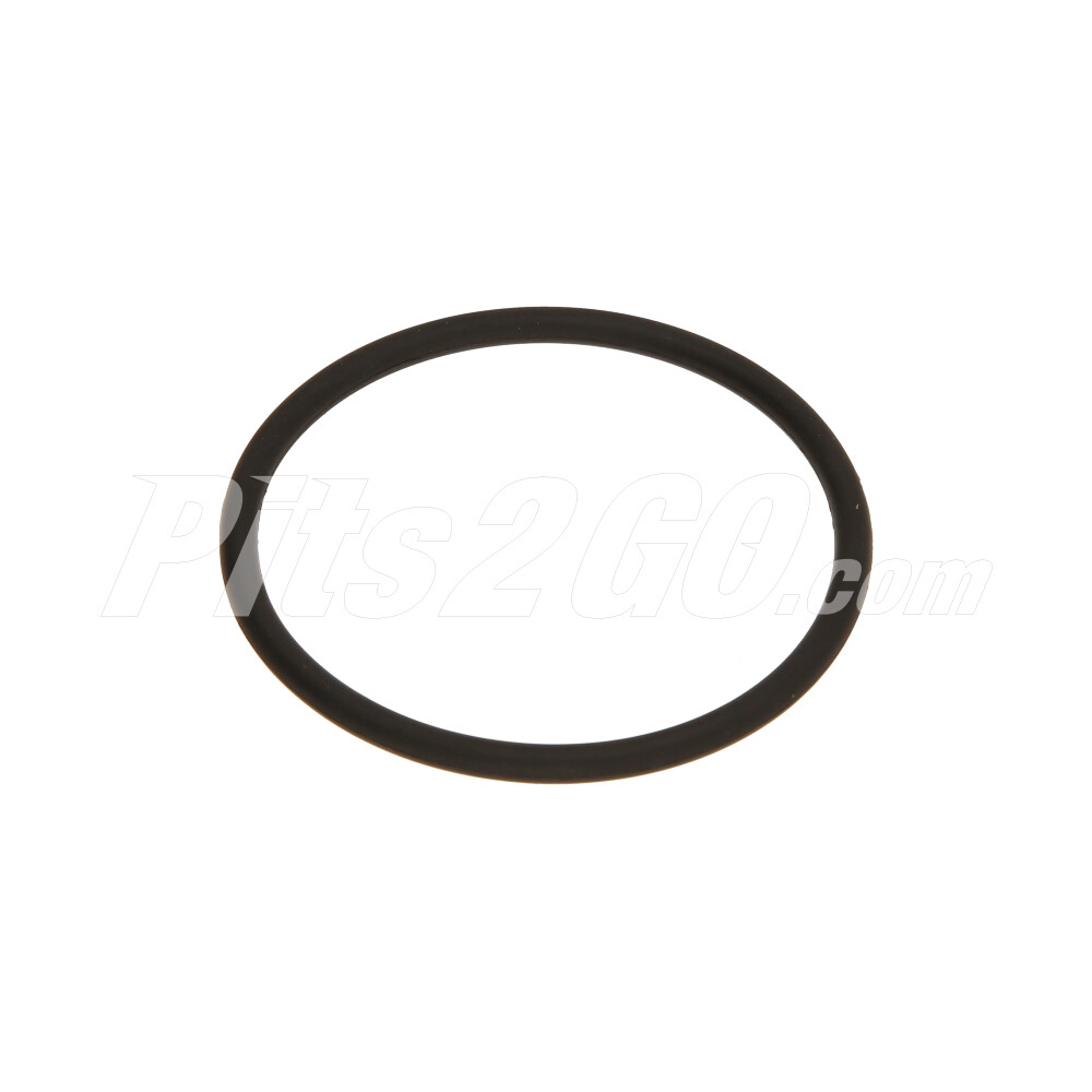 Oring para bomba de dirección para Tractocamión, Marca Freightliner, compatible con Columbia image number 1