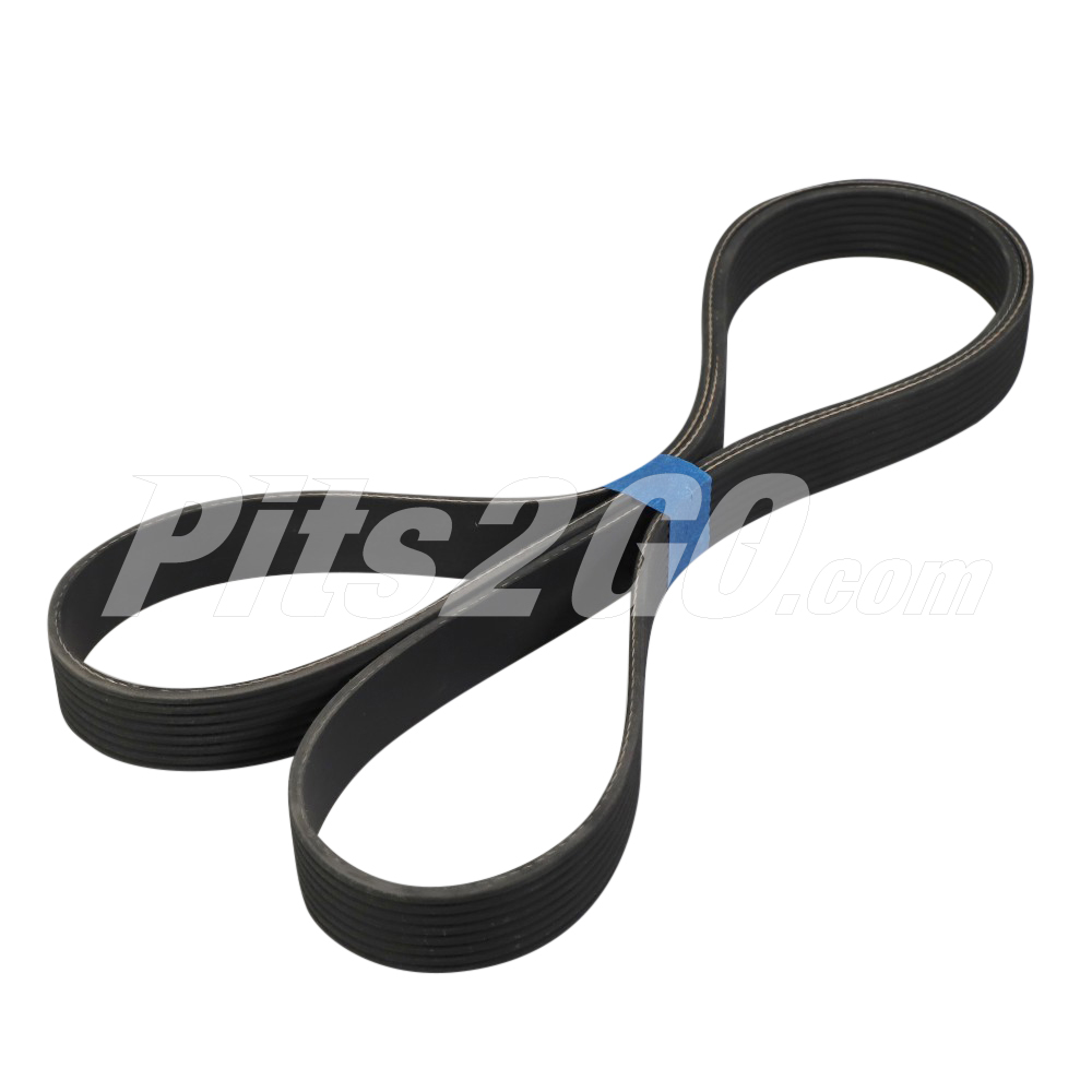 Banda poly para Tractocamión, Marca Dayco, compatible con Genérico image number 1