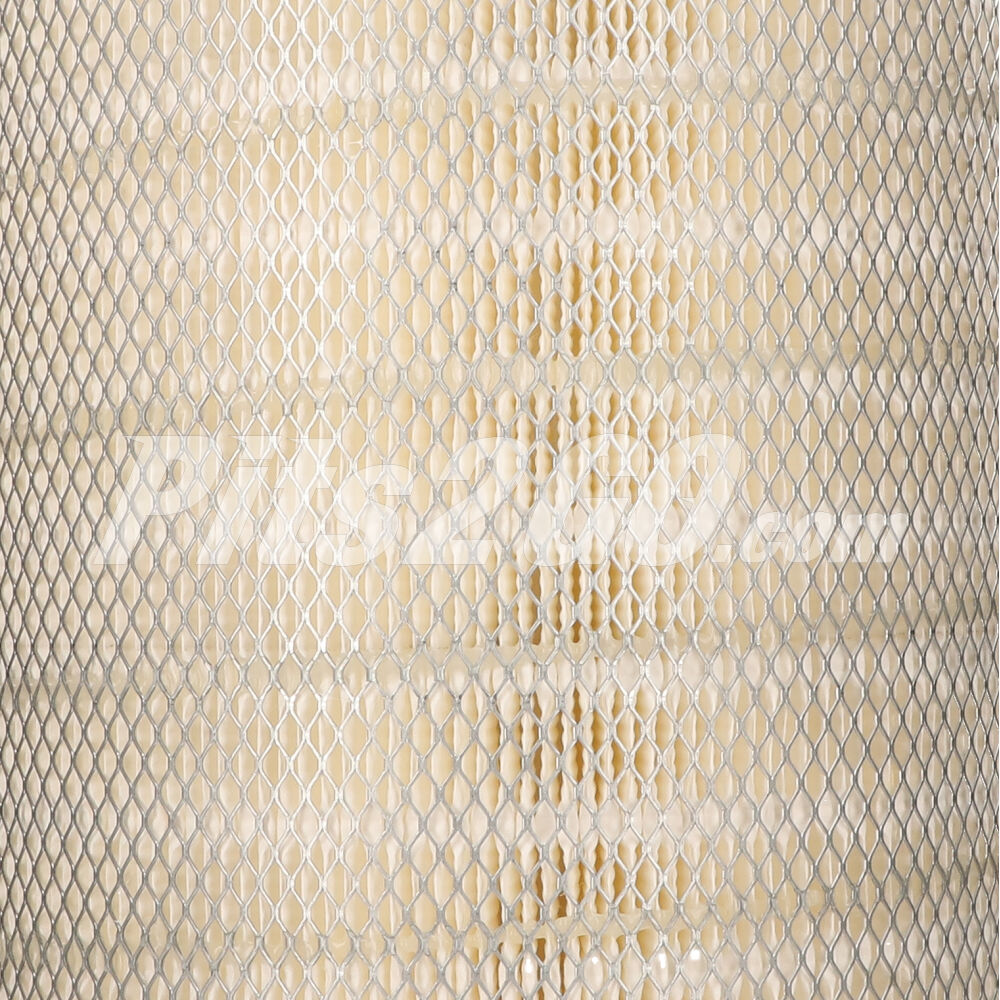 Filtro de aire para Tractocamión, Marca Donaldson, compatible con Genérico image number 3