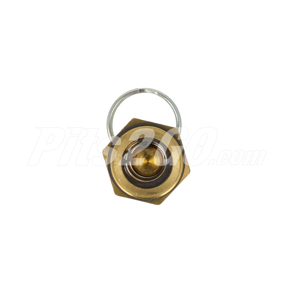 Válvula de purga de tanque de aire para Camión, Marca Foton, compatible con Foton image number 1
