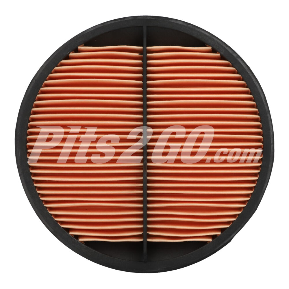 Filtro de aire seguridad para Tractocamión, Marca Donaldson, compatible con Genérico image number 2