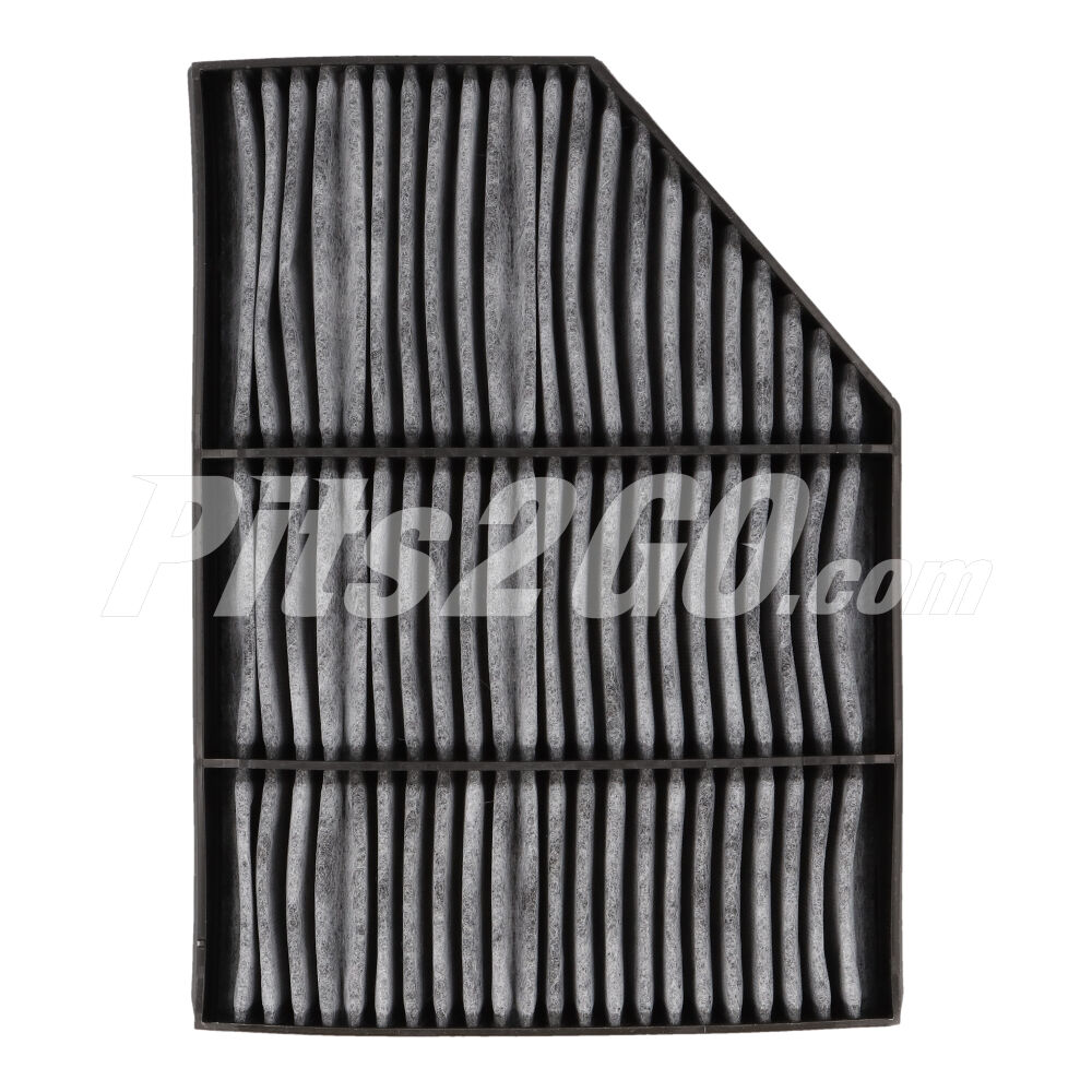 Filtro anti olores para Tractocamión, Marca Freightliner, compatible con Genérico image number 3