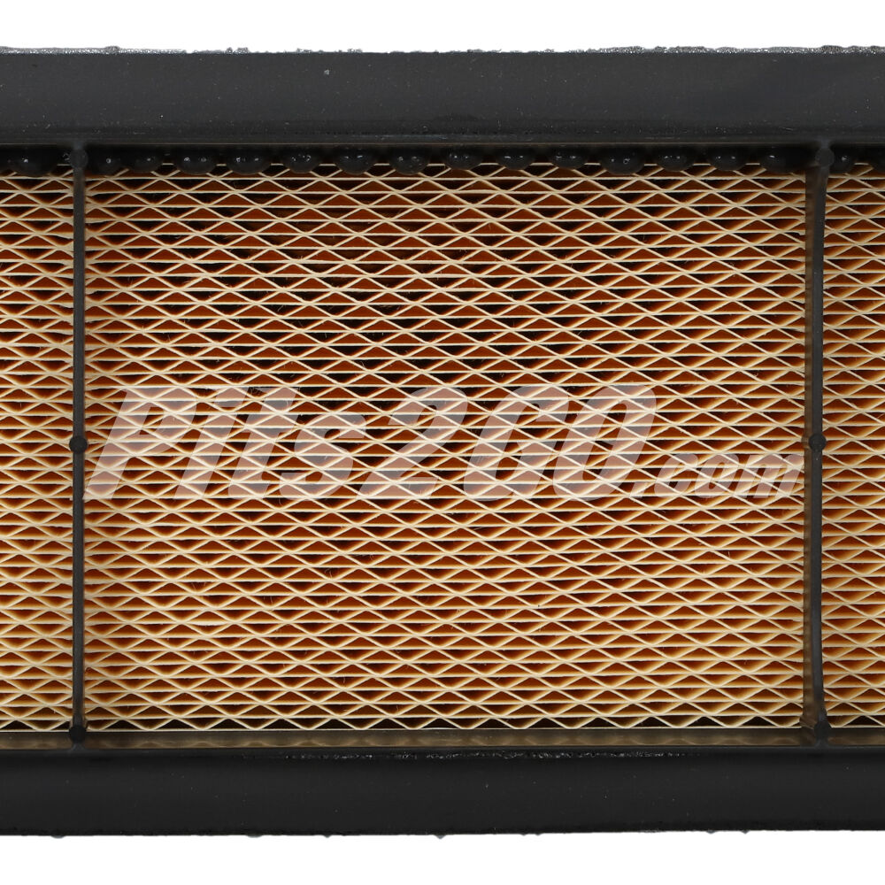 Filtro de aire para Tractocamión, Marca Fleetguard, compatible con Cascadia image number 3
