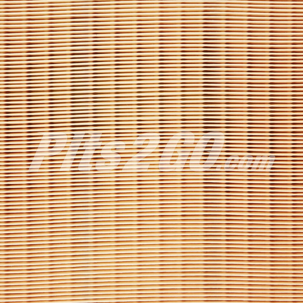 Filtro de aire para Tractocamión, Marca Donaldson, compatible con Genérico image number 3