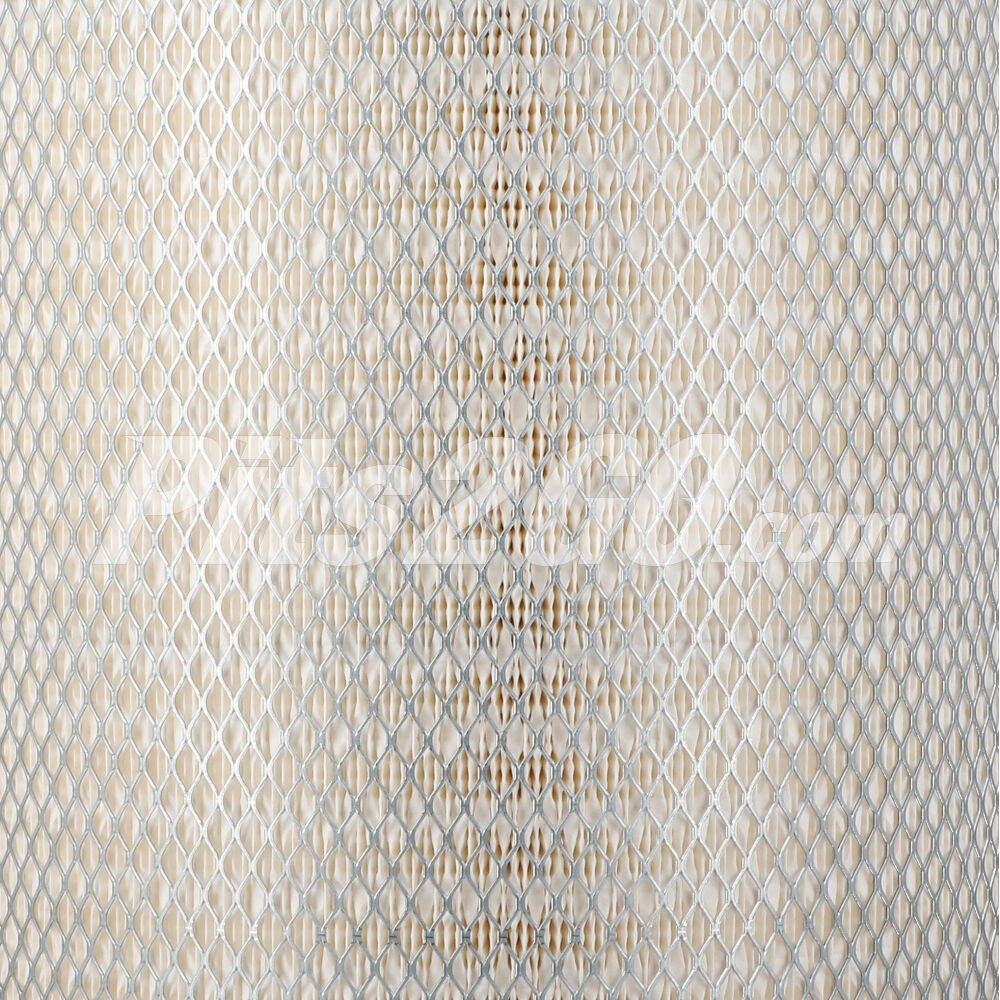 Filtro de aire primario para Tractocamión, Marca Donaldson, compatible con Genérico image number 3