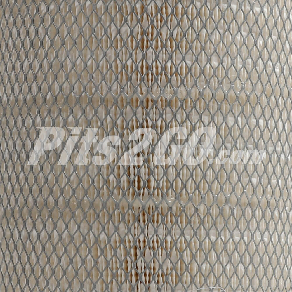 Filtro aire para Tractocamión, Marca Donaldson, compatible con Genérico image number 2