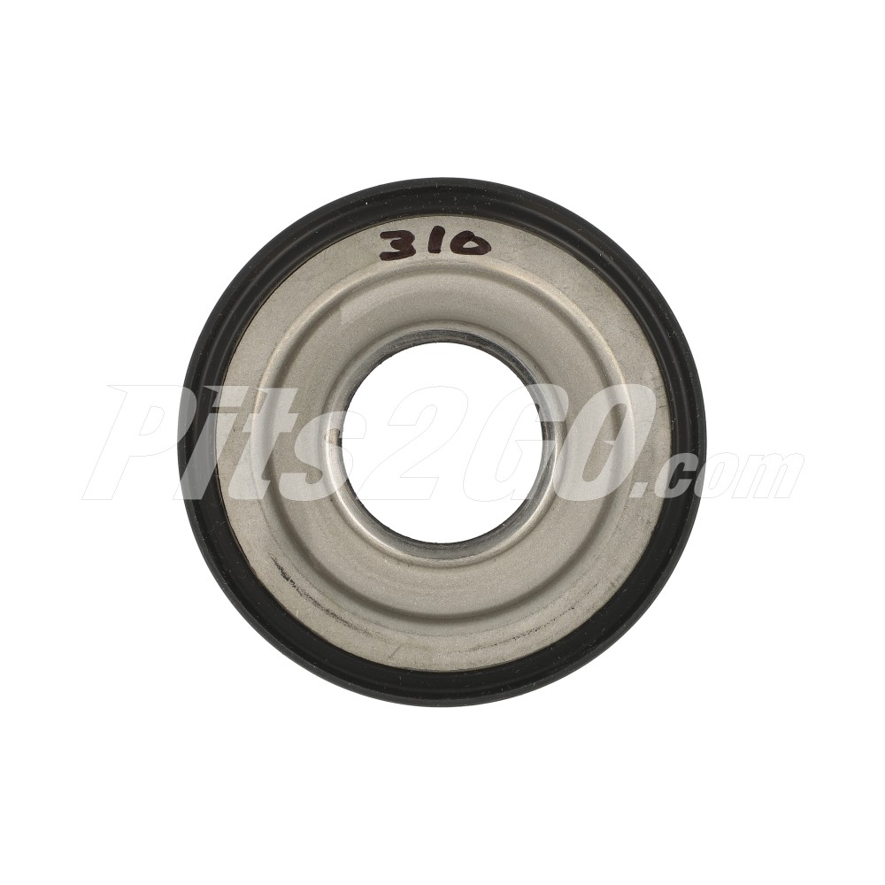 Juego pistón para Camión, Marca Eaton-Fuller, compatible con Business Class image number 1