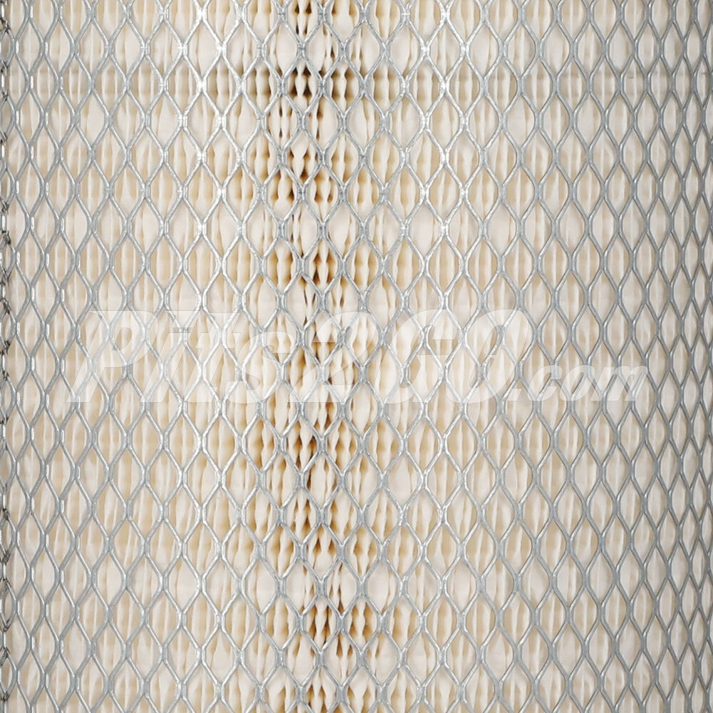 Filtro de aire para Tractocamión, Marca Donaldson, compatible con Genérico image number 3