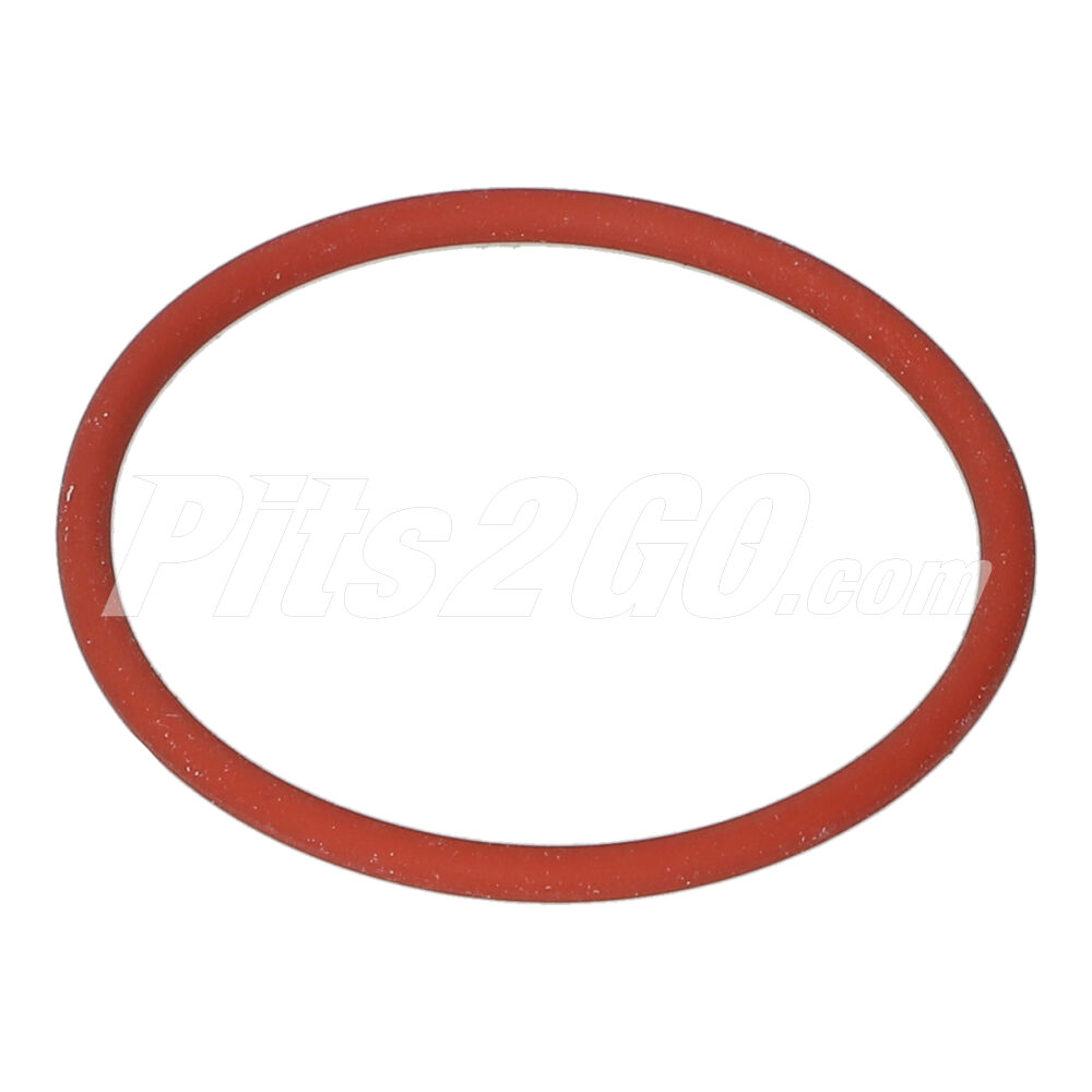 Filtro de gasolina para Tractocamión, Marca Detroit Diésel, compatible con Serie 60 image number 2