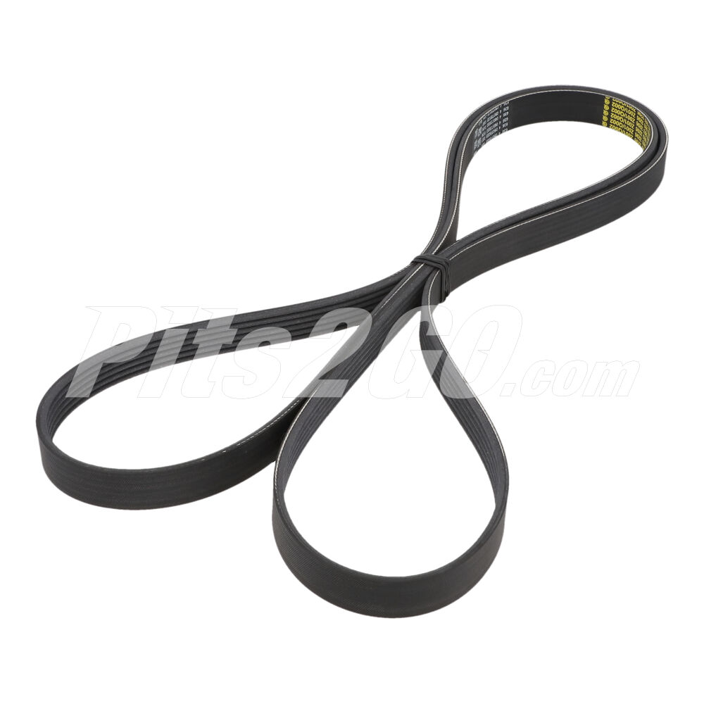 Correa trapecial poli v para Vanes, Marca Mercedes-Benz, compatible con Sprinter image number 1