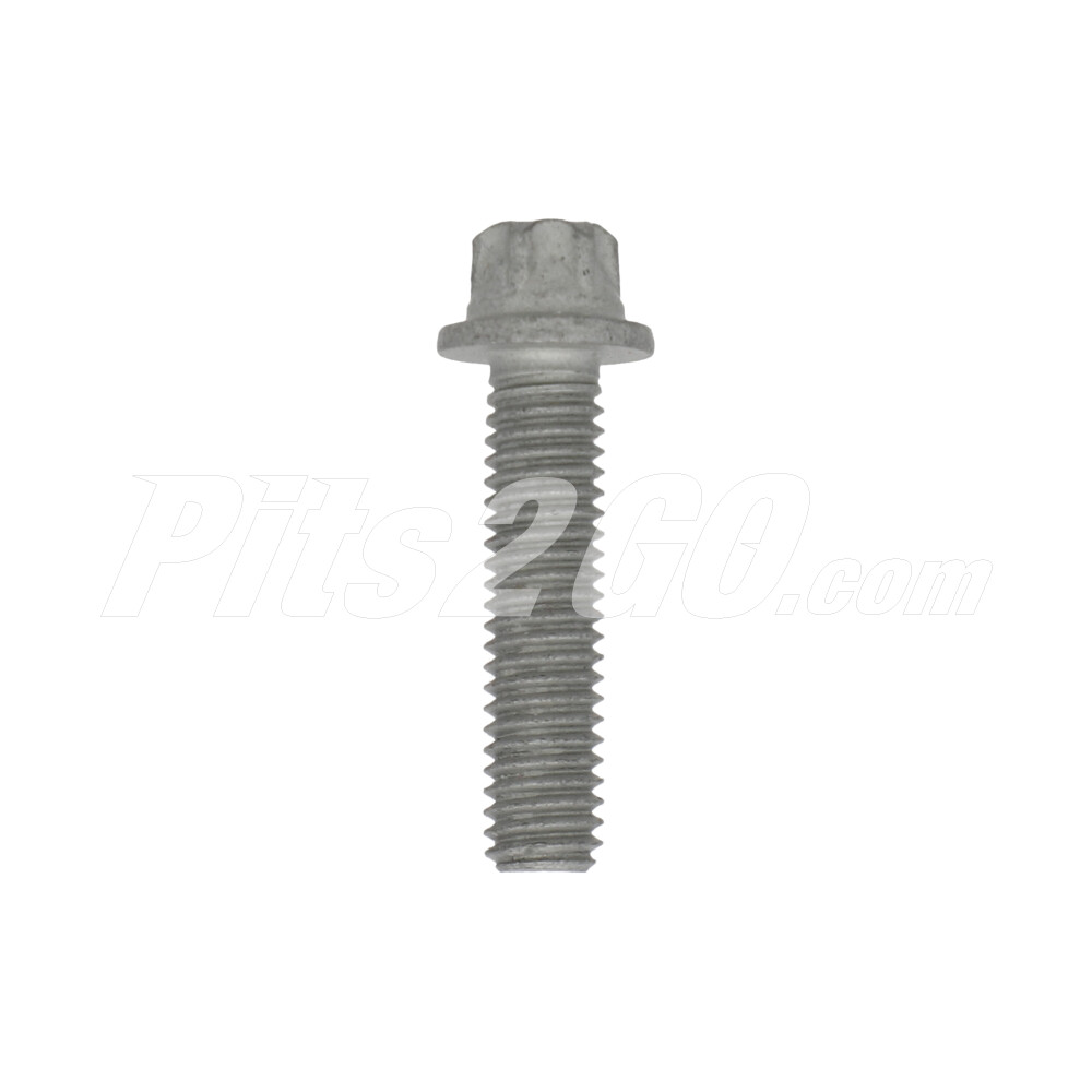 Tornillo base para Tractocamión, Marca Freightliner, compatible con Genérico image number 1