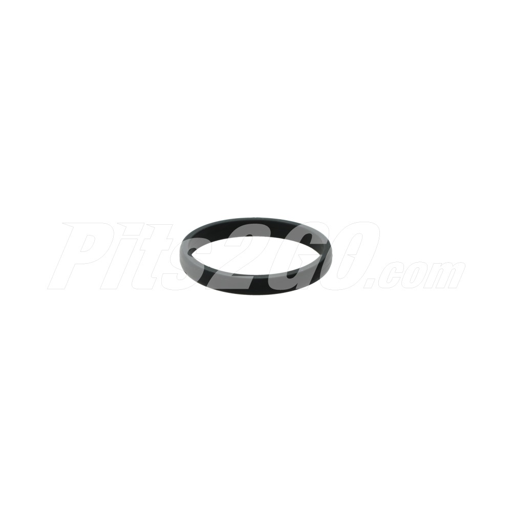 Oring transmisión para Camión, Marca Eaton-Fuller, compatible con HPN image number 0