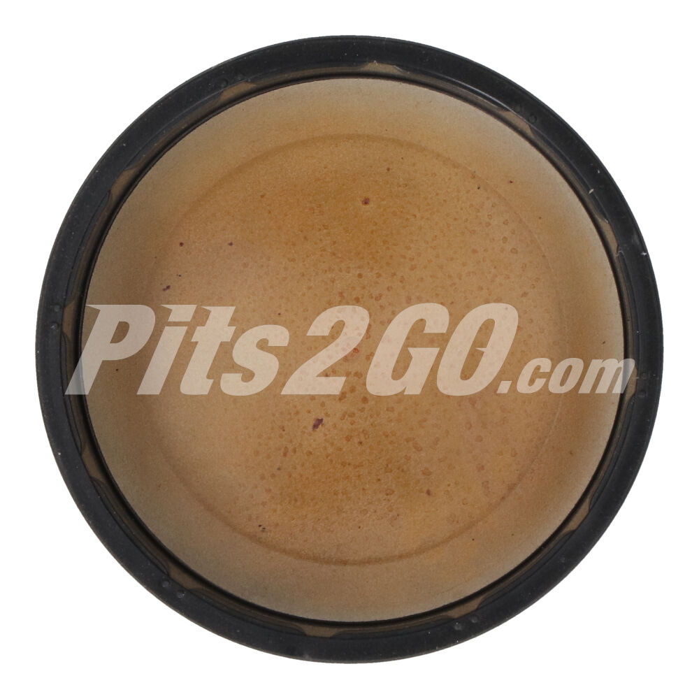 Tapa cierre para Tractocamión, Marca Freightliner, compatible con Genérico image number 3