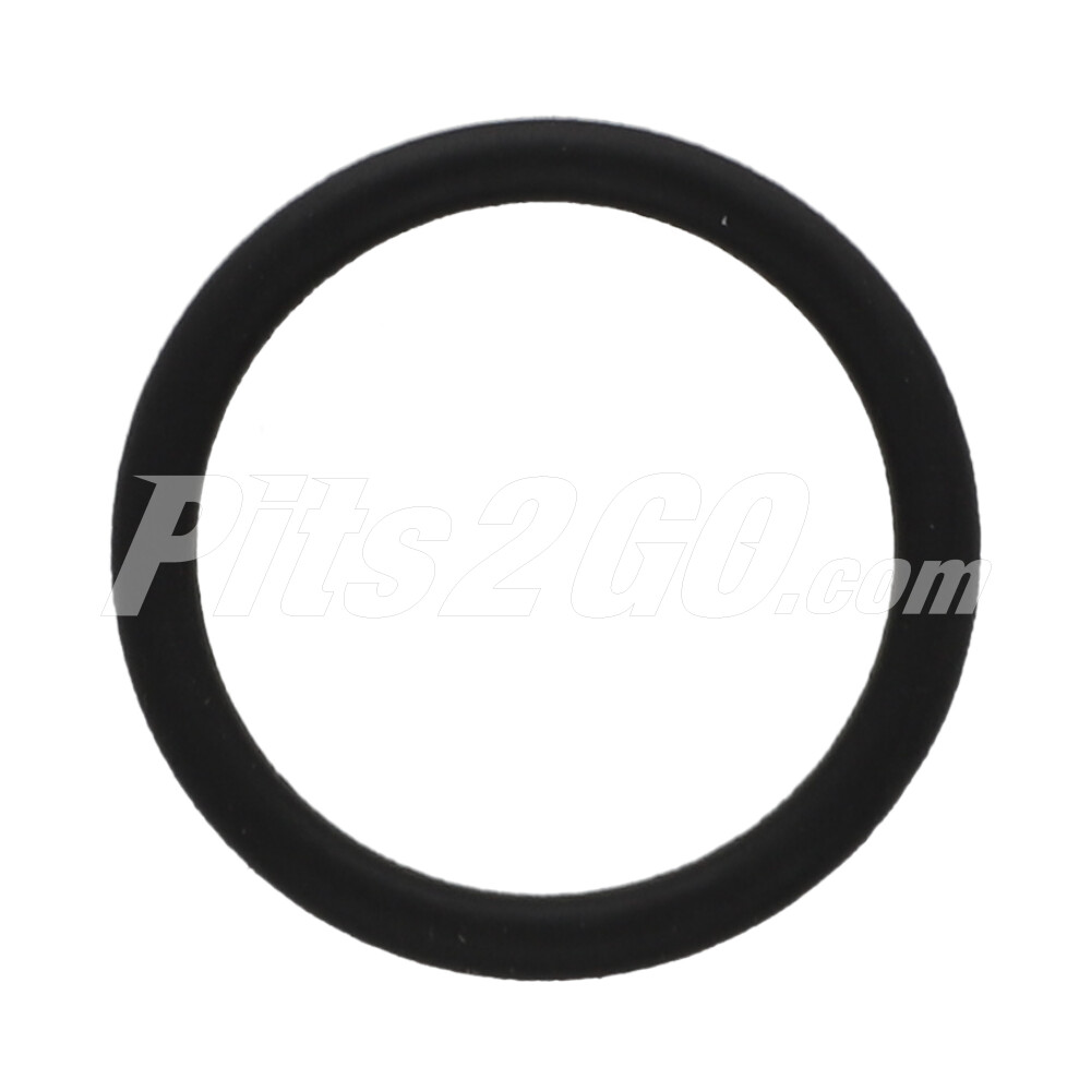 Junta anillo de sello bomba de aceite, para Tractocamión, Marca del producto: Detroit Diésel, compatible con: Serie 60,Número de parte: DDE23505891 image number 1