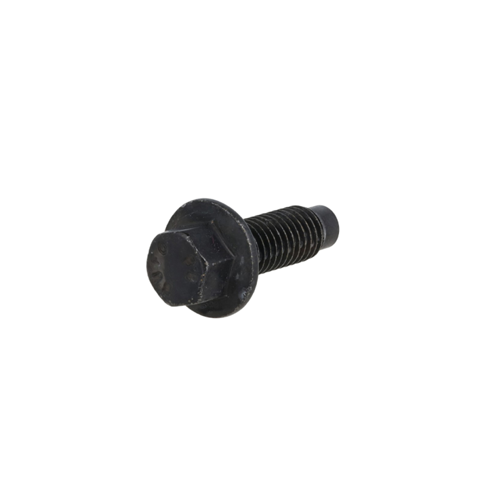 Tornillo embridado para Tractocamión, Marca Foton, compatible con FH image number 2
