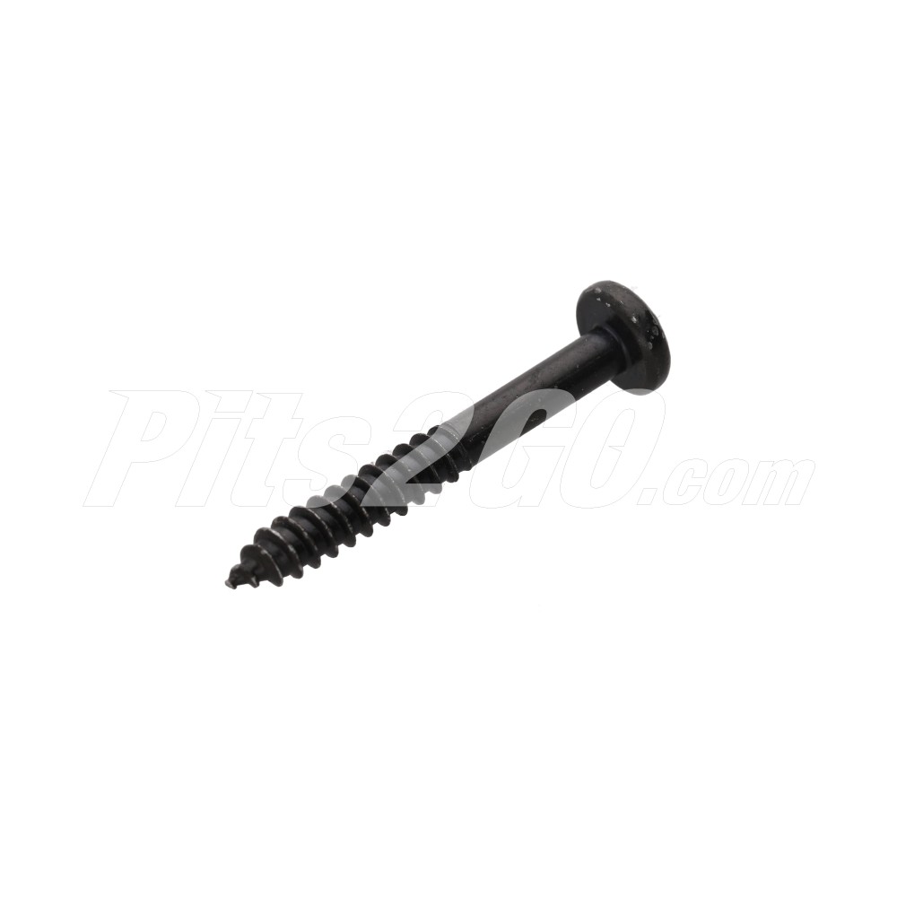 Tornillo tapa luminosa para Tractocamión, Marca Mercedes-Benz, compatible con Actros image number 1