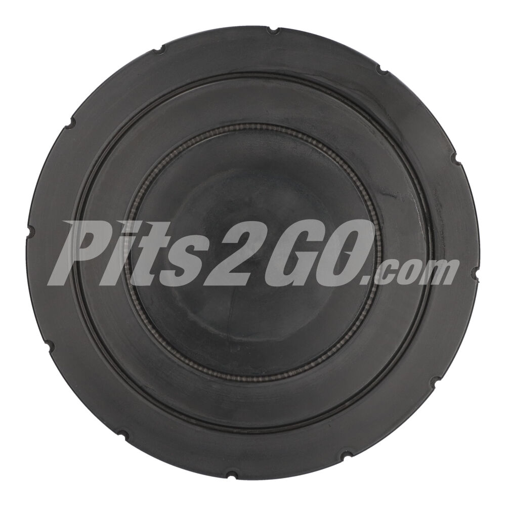 Filtro aire para Tractocamión, Marca Donaldson, compatible con Genérico image number 2