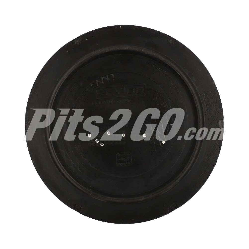 Filtro para Tractocamión, Marca Freightliner, compatible con Cascadia image number 3