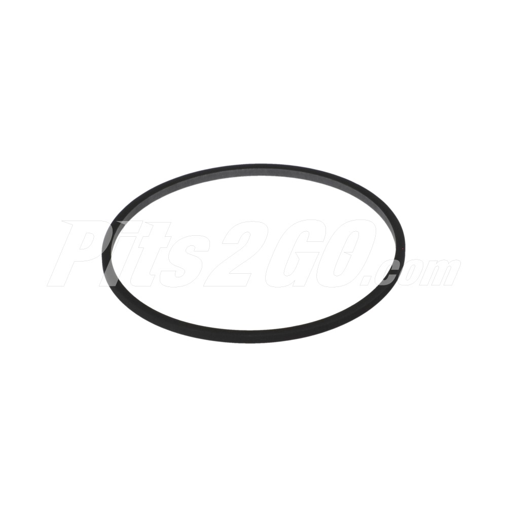 Sello, anillo rectangular, para Tractocamión, Marca del producto: Cummins, compatible con: T800,número de parte:,3820945 image number 1